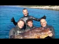 PESCA SUB IL SOGNO AZZURRO CAMPIONATI MONDIALI