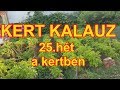 KERT KALAUZ - 25.hét a kertben S3E26