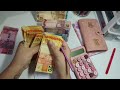 ✨Retirando dinheiro💖 Desafios dos 100 envelopes 💰