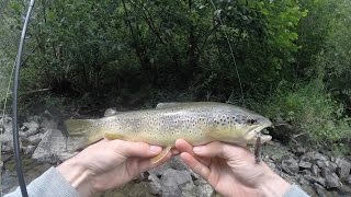 Pêche de la truite au leurre en grande rivière | n°8 | en Ariège