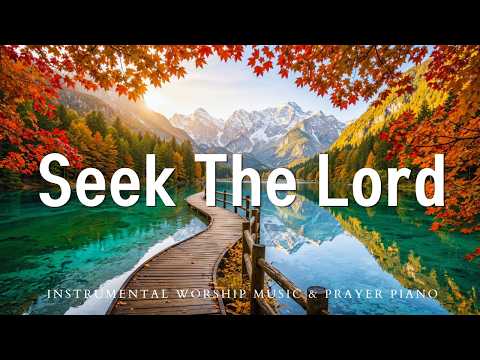 Seek the Lord ✝️ Peaceful Praise Songs, Christian Worship Music & Morning Prayer Playlist