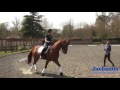 Anna Ross-Davies - How to ride the shoulder-in