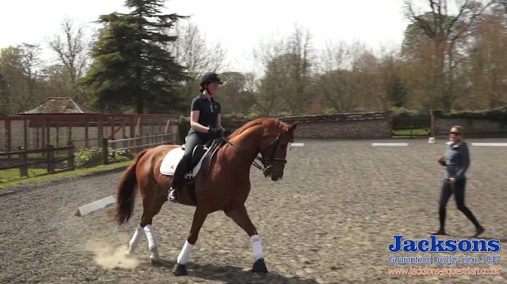 Anna Ross-Davies - How to ride the shoulder-in