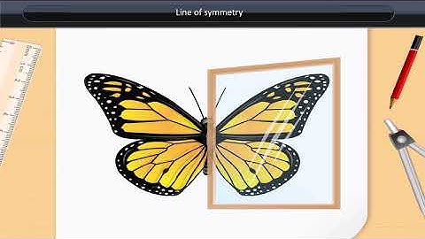 Line of symmetry | Class 7 | Maths