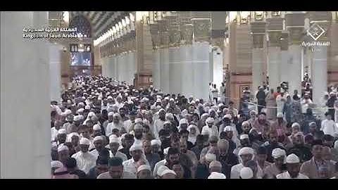 سورة التكاثر بصوت الشيخ علي الحذيفي من المسجد النبوي الشريف