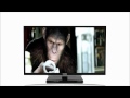 Toshiba TV HL series - Full High Definition LED TV