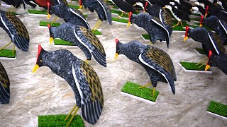 Wild Chicken/Waterfowl Bait - Made of Soft Rubber, Super Sensitive for Wild Birds screenshot 1