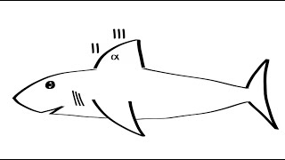 Obstructive Capnography Waveform