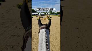 Horse Thoughts 💭 #horse #horseshow #equestrian #horsefan #horses #showjumper #showjumping #horsepov