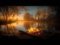 Cozy Campfire Beside A Calm River Relaxing Spring Nature Ambience