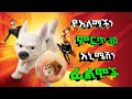 ምርጥ 10 የአኒሜሽን ፊልም ሱስ የሚያሲዙ ፊልሞች Top 10 Best Animation Film In The World 2022 In Amhariic Ethiopia