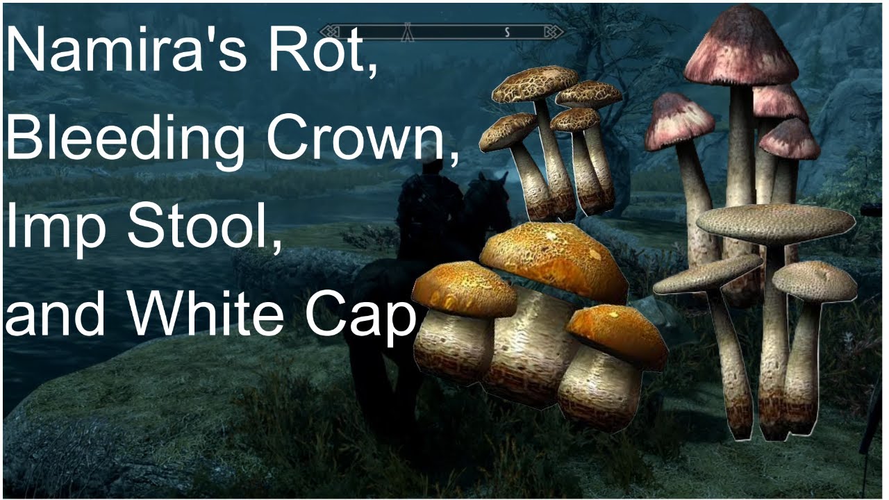 This CAVE Has all the mushrooms you could ever need[Skyrim guide] - YouTube