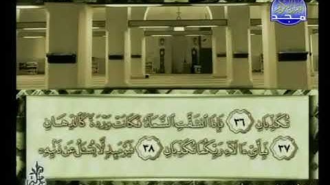 سورة الرحمن 55 - 114 محمد أيوب - قناة المجد للقرآن الكريم