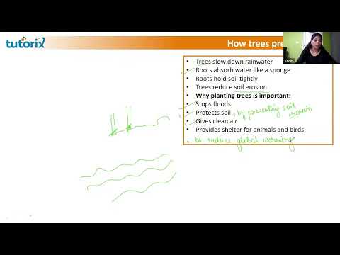 🔴 LIVE NOW: Deforestation Explained for Class 5 CBSE | Science Chapter Made Easy