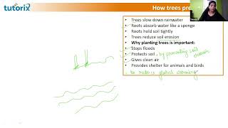 🔴 LIVE NOW: Deforestation Explained for Class 5 CBSE | Science Chapter Made Easy
