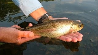 Lake Junior Winter Trout Stocking Profile