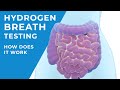 Hydrogen breath testing