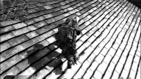 Cod 4 modded to 3rd person