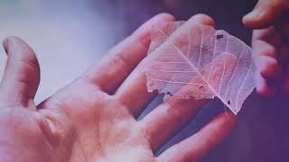 July - Long Good Byes