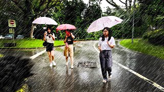 SUPER HEAVY RAIN WALKING AT Midnight : Atmospheric Tiong Bahru Seng Poh Garden : Singapore Rain ASMR