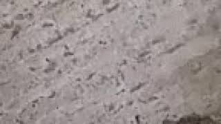 What I Want To Show You Today Yes To Stuff Net And Trumpet.