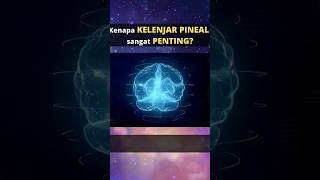 pentingnya kelenjar Pineal ‼️mata ke tiga bagi manusia @Spiritual_universe
