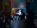 Todas las presentaciones de Maria Ovina &amp; Federico Garcia ¿QELM? T7 🐑, 🐬