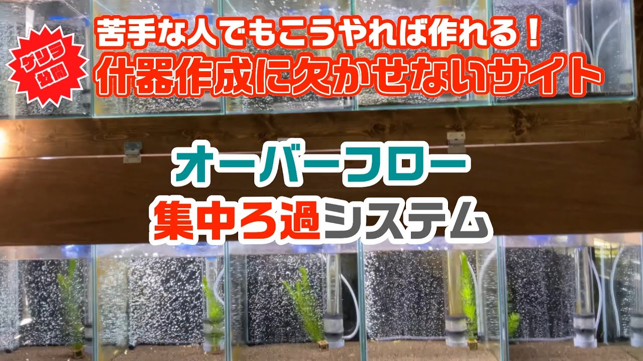早い者勝ち！多段オーバーフロー水槽 アクリルミニオーバーフロー水槽 【変えれま水位】23cmキューブドア