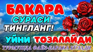 Бақара сураси Уйга ШАЙТОН кирмайди !!! Baqara surasi БАКАРА BAQARAH | БУ СУРАНИ УҚИНГ