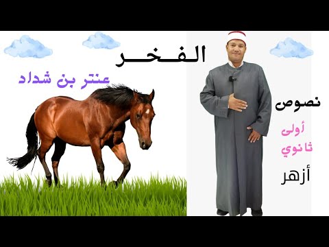 النص العلمي الفخر لعنترة بن شداد