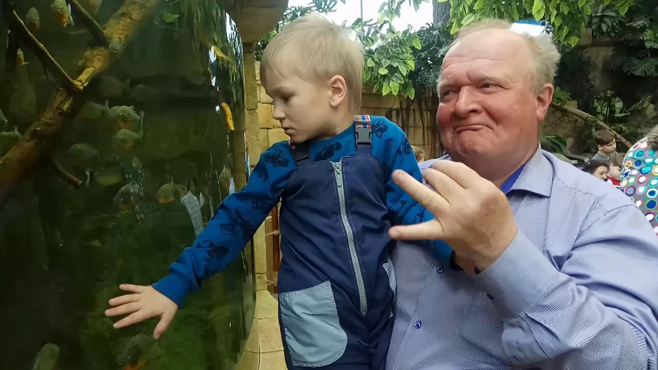 Океанариум в Екатеринбурге 29 03  2019