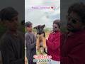 ✨German shepherd💫puppy delivery🚚time💥garladine💥Tqs for trusting❤️#shortvideo #shoart #yt #ytshorts