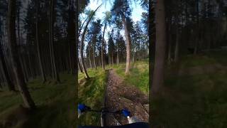 afterwork ride #insta360 #mtb #life #video #mountains #austria #enduro #afterwork #mountainbike