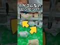 爪がゴム製のピンピン.,.爪???