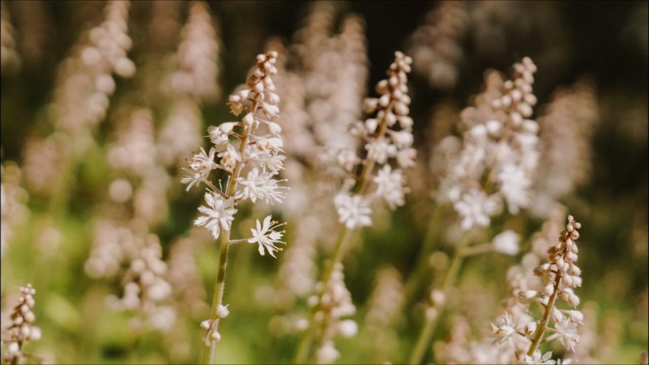 [free for profit] sad electric guitar type beat no drums / instrumental