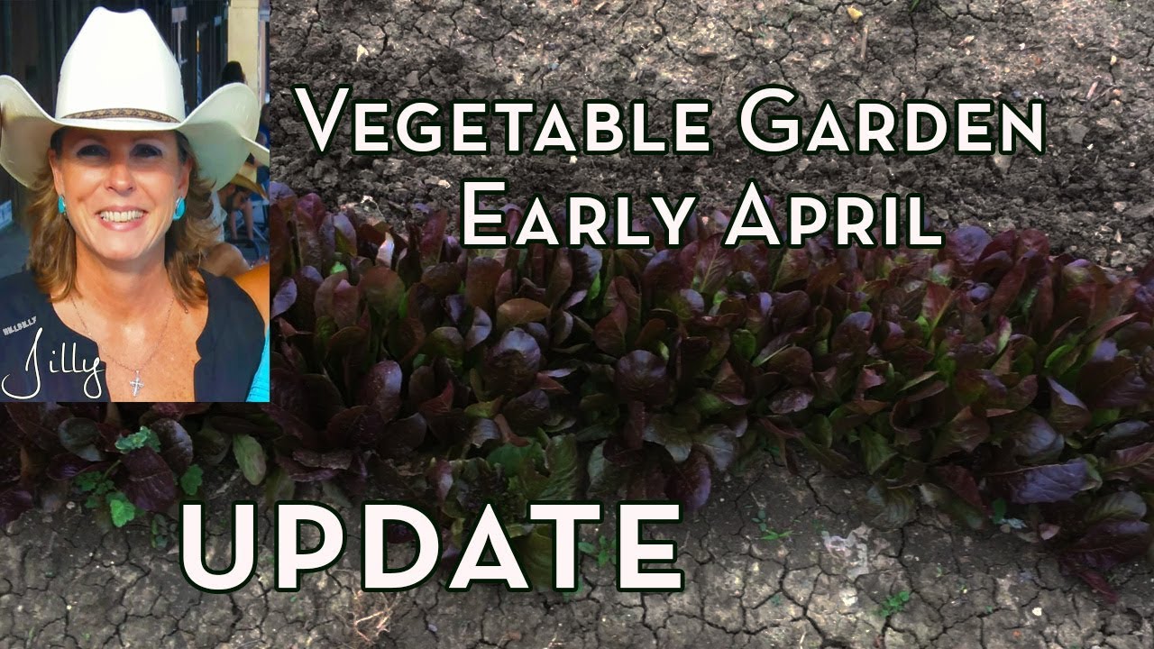 North Texas Vegetable Garden Spring Update - Early April - YouTube