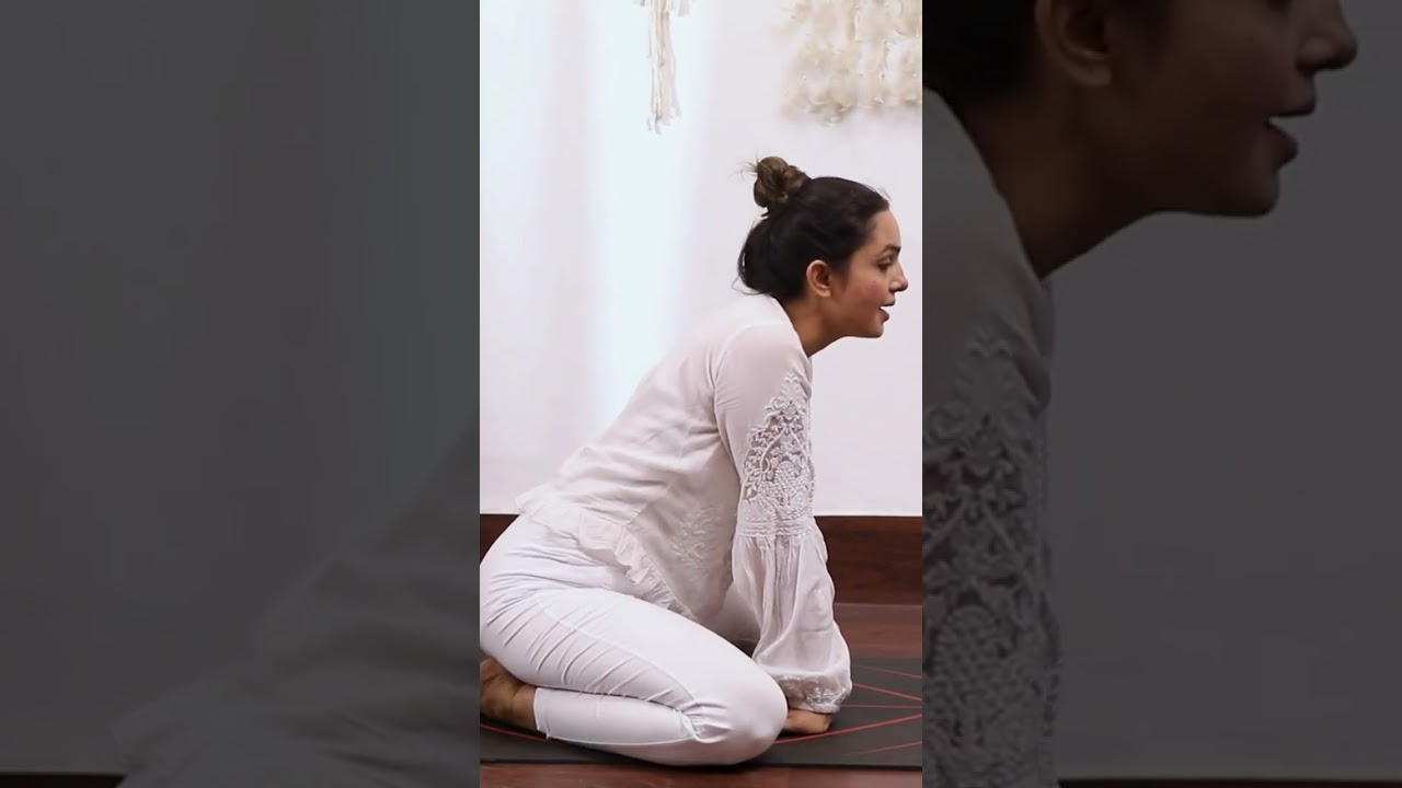 Yoga Stretches for Flexibility 🧘‍♂️ | Different Types of Yogasanas Explained | Beginner Friendly 