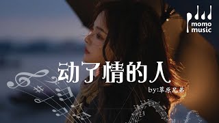 動了情的人 - 草原兄弟『dong le qing de ren  - cao yuan xiong di 』【動態歌詞MV】