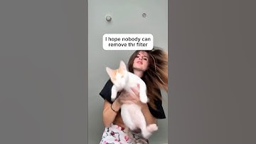 Hope nobody removes the filter #short