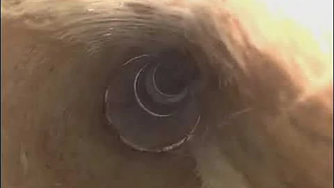 98 main street berlin nh sewer inspection 2nd floor branch sewer 