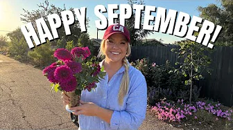 Fine Tuning the Long Border: Late Summer/Early Fall Clean Up