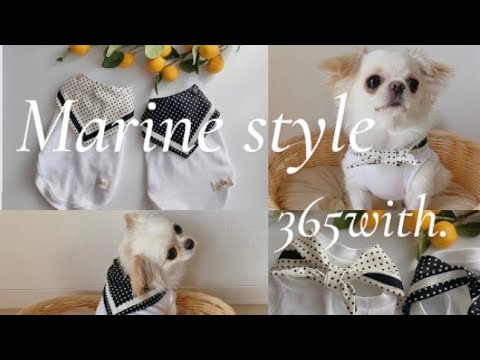 ハンドメイド　犬服　マロン hqdefault.jpg