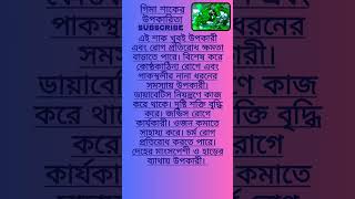 গিমা বা গিমে শাকের উপকারিতাbangla health tipsshorts shortsfeed ytshorts healthcare viral ..