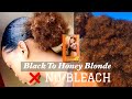 DYING MY HAIR FROM BLACK TO HONEY BLONDE ! NO BLEACH ON NATURAL HAIR / Rissa Murissa