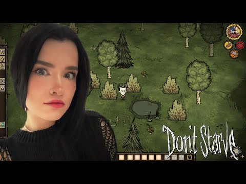 Видео: ТЕПЕРЬ Я ПРО В ЭТОЙ ИГРЕ | Don`t Starve #9