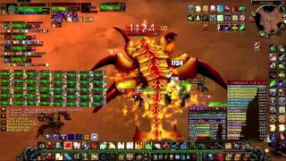 Vanilla Ret Paladin Aq40 Fankriss - Nostalgeek