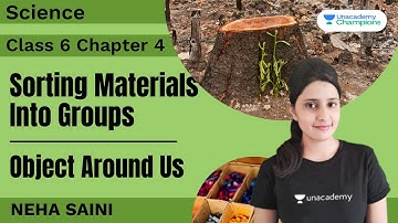 Sorting Materials Into Groups | Object Around Us | Science Class 6 Chapter 4 | Neha Saini