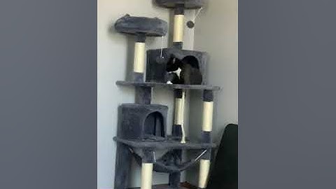 Yaheetech 62.2in Cat Tree Cat Tower, Multi-Level Cat Tree w/Double Condo, Cat Platform & Hammock