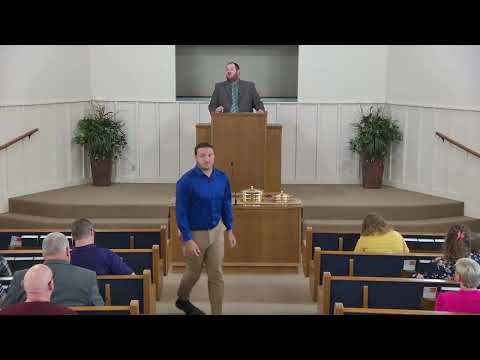 Video preview