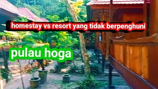 terkejut melihat kondisi pulau ini    hoga island